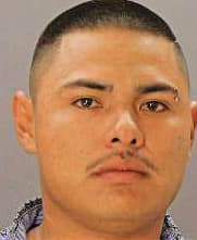 Espinozapitones Ivan - Dallas County, TX 