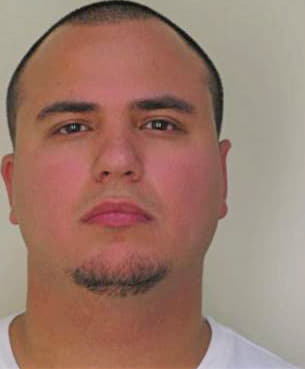Pulecio Ricardo - Hillsborough County, FL 