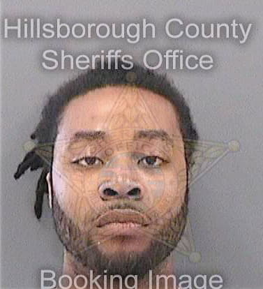 Allen Ryan - Hillsborough County, FL 