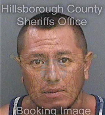 Gonzalez Eladio - Hillsborough County, FL 