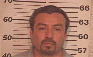 Arellano Jose - Hidalgo County, TX 