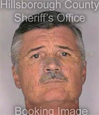 Ellis David - Hillsborough County, FL 