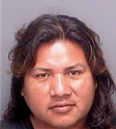 Vicente Guillermo - Pinellas County, FL 