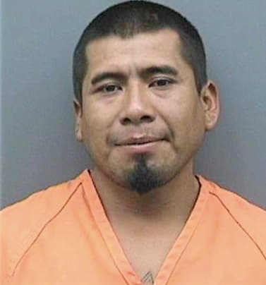 Navarro Hugo - Hillsborough County, FL 