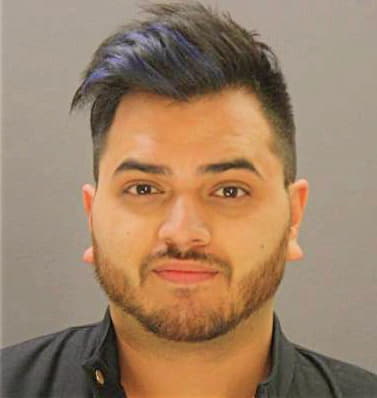 Castillo James - Dallas County, TX 