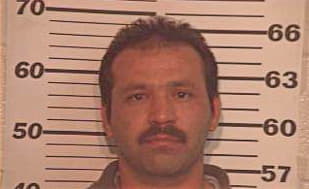 Salinas Noe - Hidalgo County, TX 