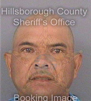 Gallardo Oscar - Hillsborough County, FL 