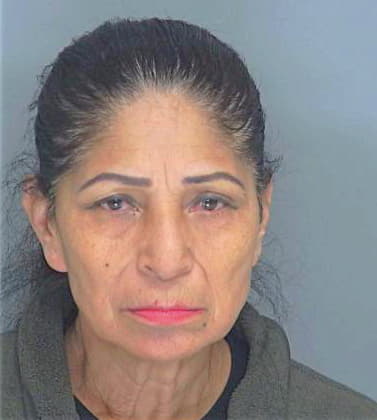 Gonzalez Adela - Douglas County, GA 