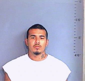 Llanas Jorge - Brazos County, TX 