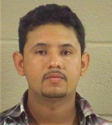 Mendoza Luis - Whitfield County, GA 