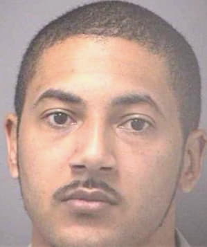 Freeman Mark - Hillsborough County, FL 