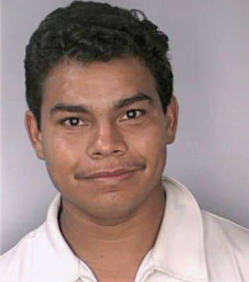 Alcantarahernandez Elvin - Hillsborough County, FL 