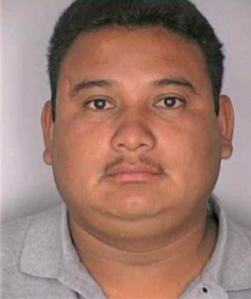 Mejia Juan - Hillsborough County, FL 