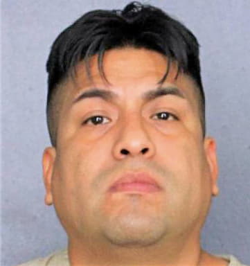 Mejia Rene - Broward County, FL 