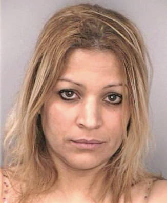 Lebron Diana - Hillsborough County, FL 