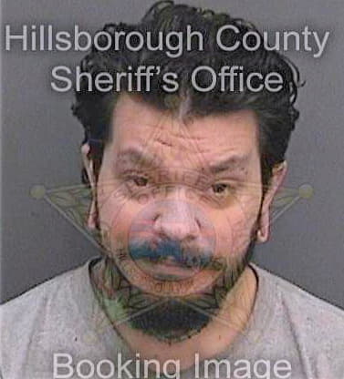Thomas Don - Hillsborough County, FL 