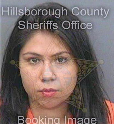 Meneses Liliana - Hillsborough County, FL 