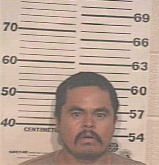 Gutirrez Raynaldo - Hidalgo County, TX 