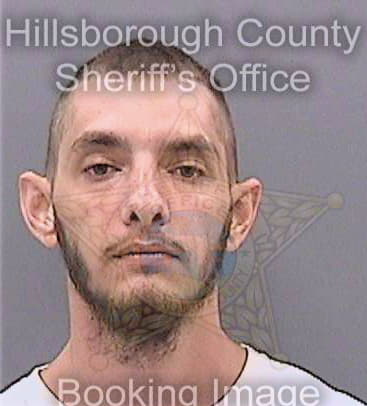 Stone Daniel - Hillsborough County, FL 