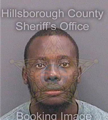 Bonheur Jean - Hillsborough County, FL 