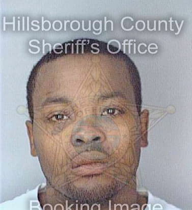 Mungin Paul - Hillsborough County, FL 