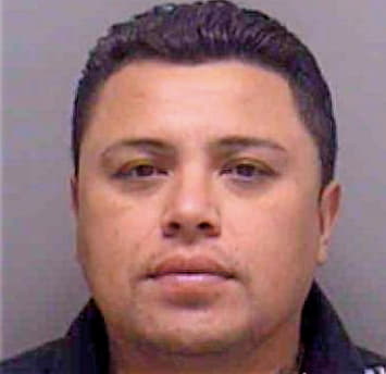 Ramirez Roldan - Lee County, FL 