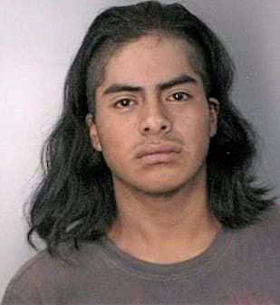 Diazhernandez David - Hillsborough County, FL 