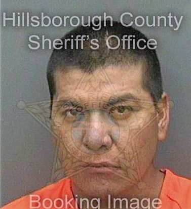 Espinozaalvarado Luis - Hillsborough County, FL 