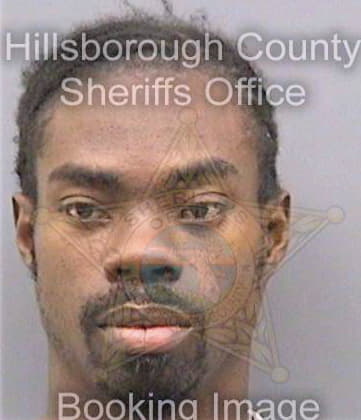 Brown Reginald - Hillsborough County, FL 