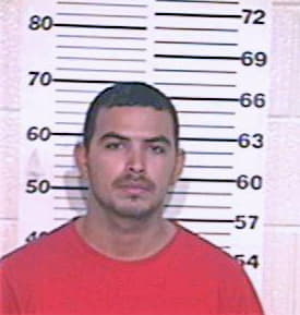 Ramirez Rene - Hidalgo County, TX 