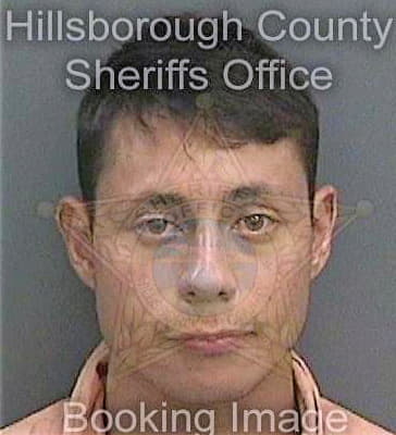 Orejuela Brandon - Hillsborough County, FL 