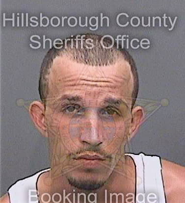 Hurtt Joseph - Hillsborough County, FL 