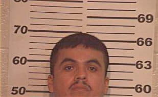 Hernandez Cesar - Hidalgo County, TX 