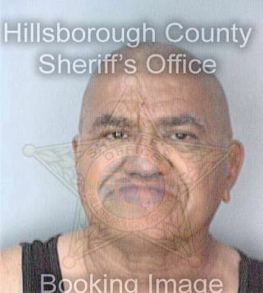 Delasala Jaime - Hillsborough County, FL 