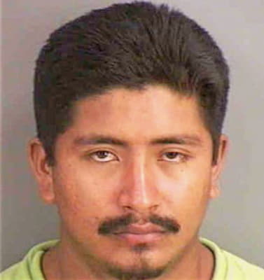 Hernandezflores Jose - Collier County, FL 