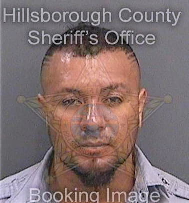 Arzolapichardo Luis - Hillsborough County, FL 