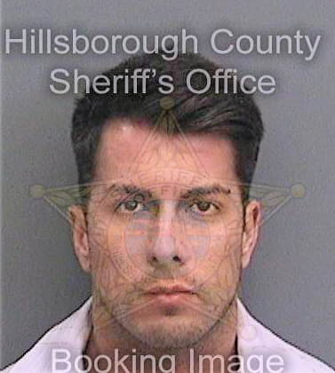 Mejia Paul - Hillsborough County, FL 