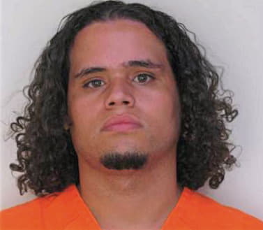 Luyando Christian - Hillsborough County, FL 