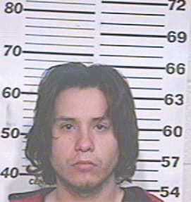 Sepulveda David - Hidalgo County, TX 