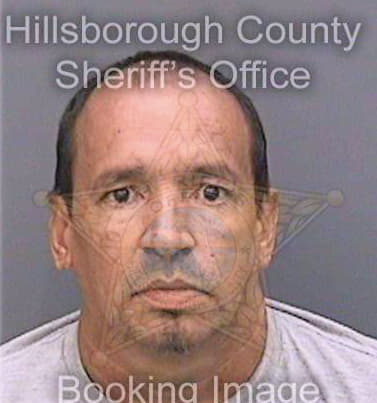Morales Francisco - Hillsborough County, FL 