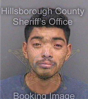 Bonillamorales Selvin - Hillsborough County, FL 