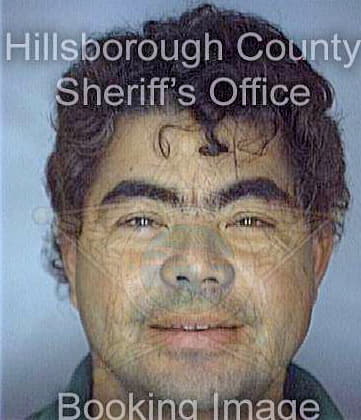 Hernandez Wilfredo - Hillsborough County, FL 