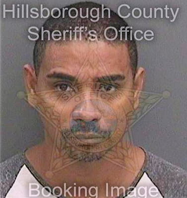 Alvarez Antonio - Hillsborough County, FL 