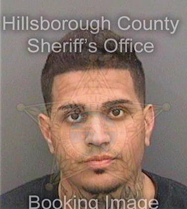 Requeno Devon - Hillsborough County, FL 