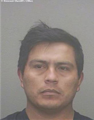 Gonzalesardon Mario - Broward County, FL 