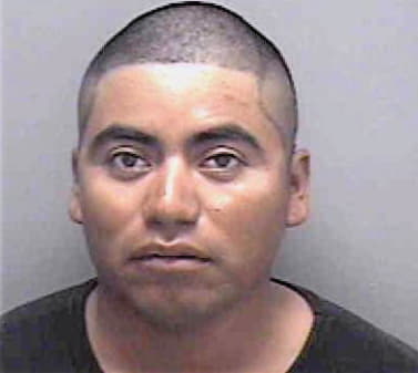 Lopez Pedro - Lee County, FL 