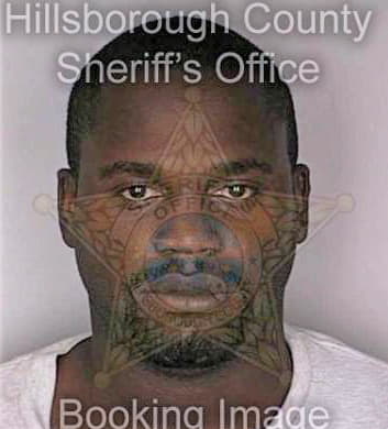 Williams Rodney - Hillsborough County, FL 