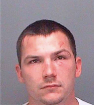 Mahin Sean - Pinellas County, FL 