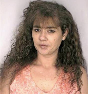 Mcmichael Diana - Hillsborough County, FL 