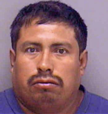 Hernandez Jose - Lee County, FL 
